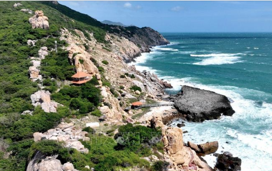 Ninh[-]Thuận[-]làm[-]rõ[-]việc[-]chuyển[-]mục[-]đích[-]sử[-]dụng[-]rừng[-]để[-]thực[-]hiện[-]dự[-]án[-]du[-]lịch